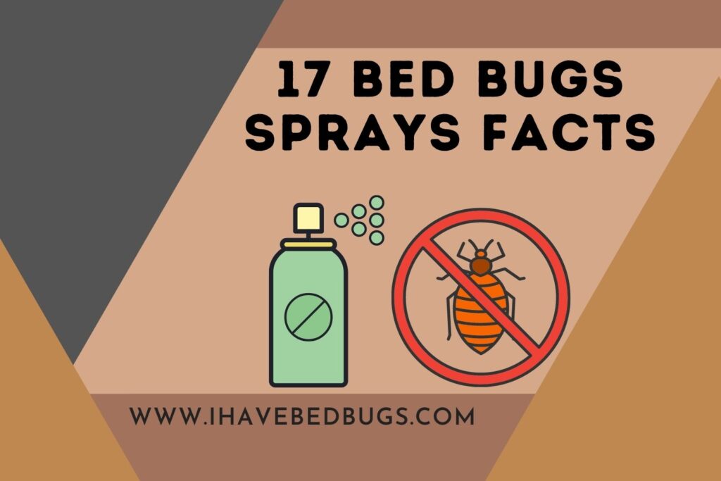17 Bed Bugs Sprays Facts (Pros & Cons)