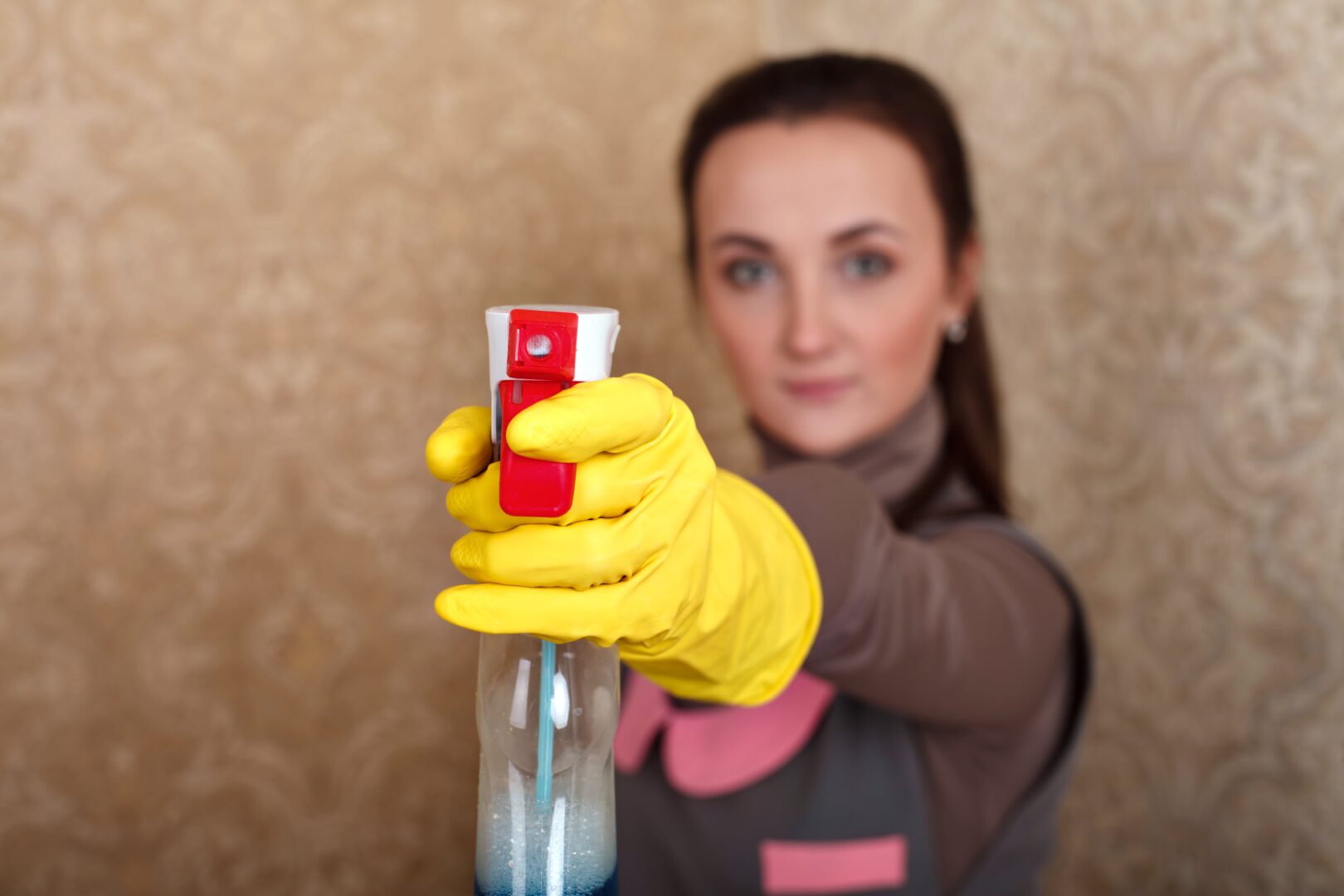 17 Bed Bugs Sprays Facts Is It Safe & Does It Really Work? (Video