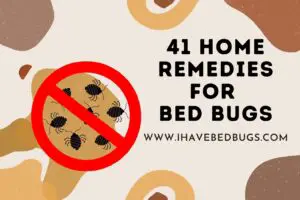 41 Home Remedies for Bed Bugs (Using Tips) - ihavebedbugs.com