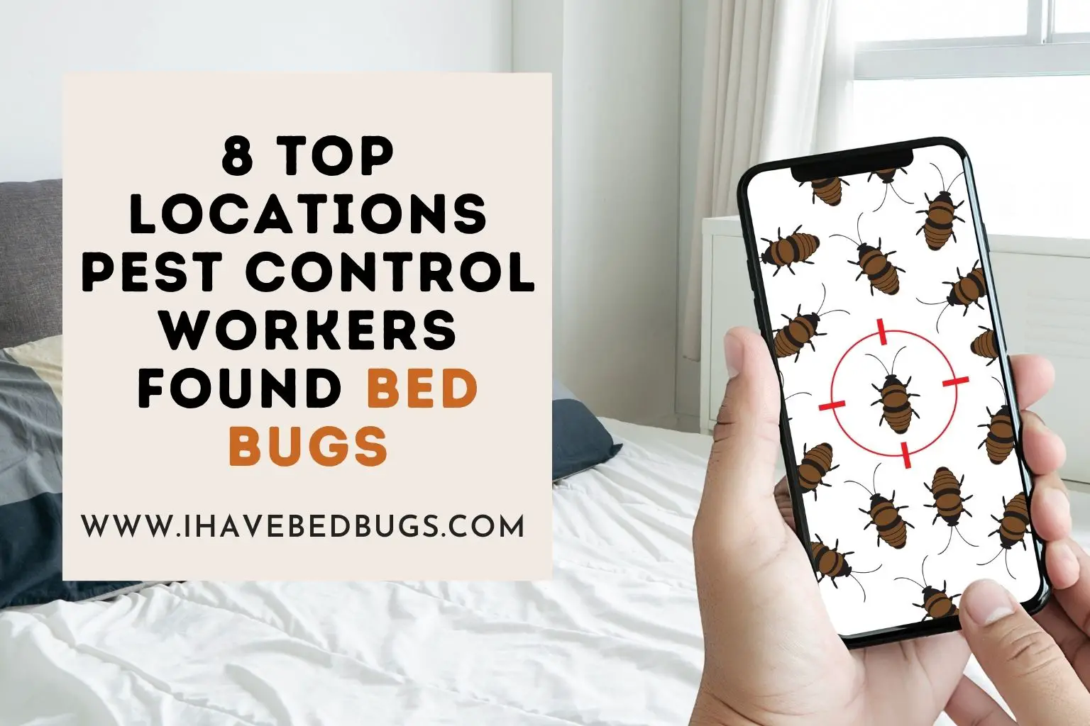8 Top Locations Pest control Workers Found Bed Bugs