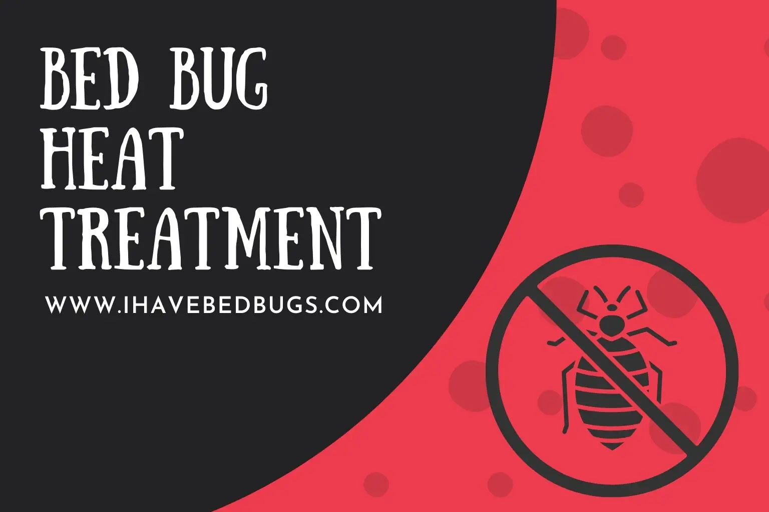 Bed Bug heat treatment