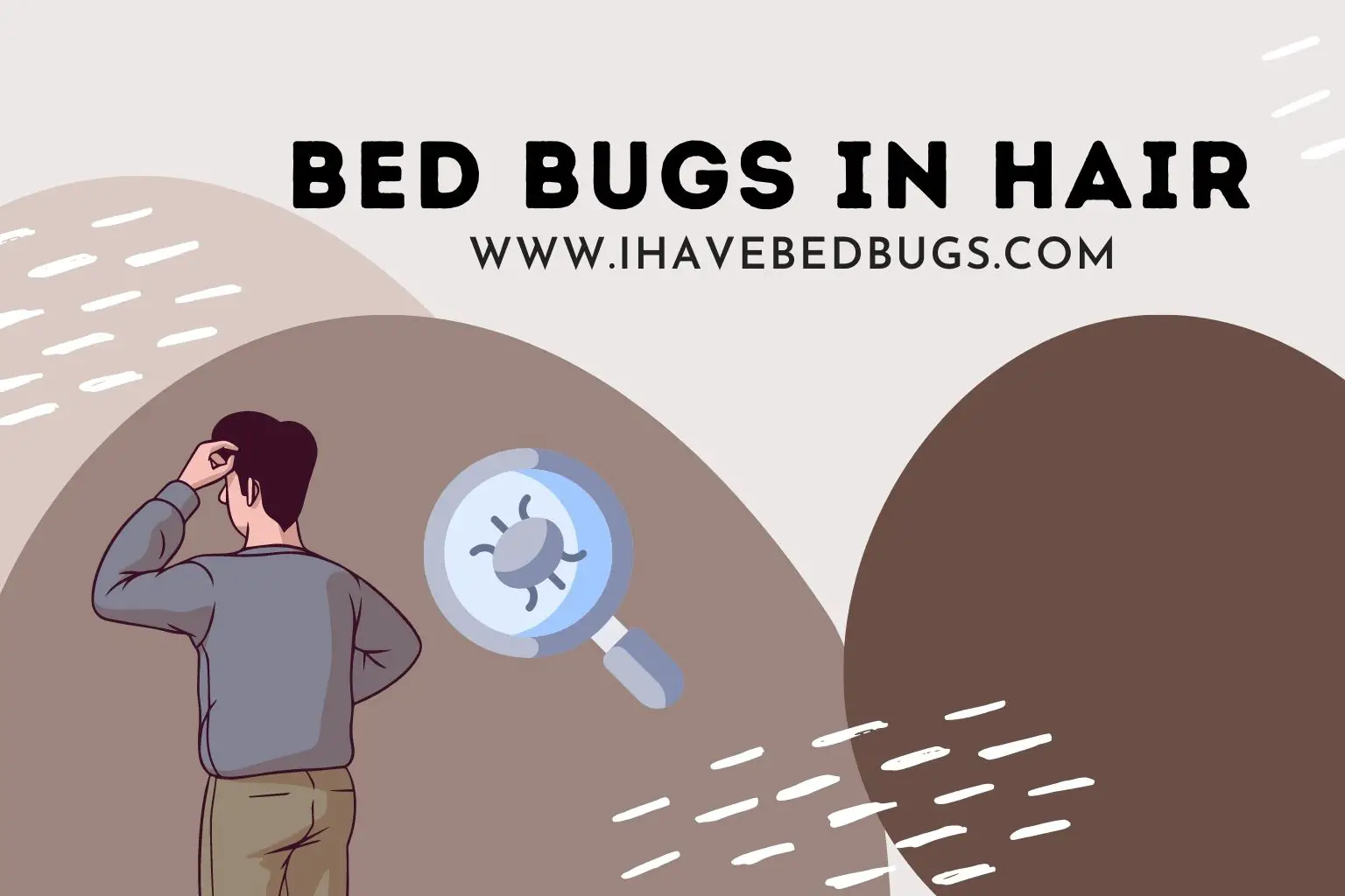 Bed Bugs in Hair