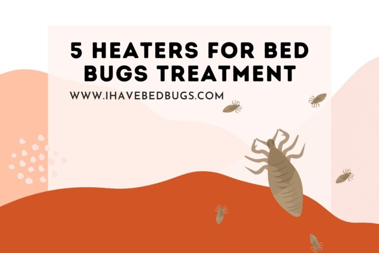 5 Heaters for Bed Bugs Treatment (Effective Tips)