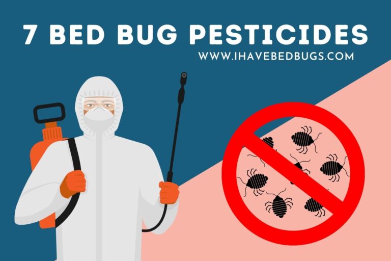 7 Bed Bug Pesticides [The Pros & Cons]