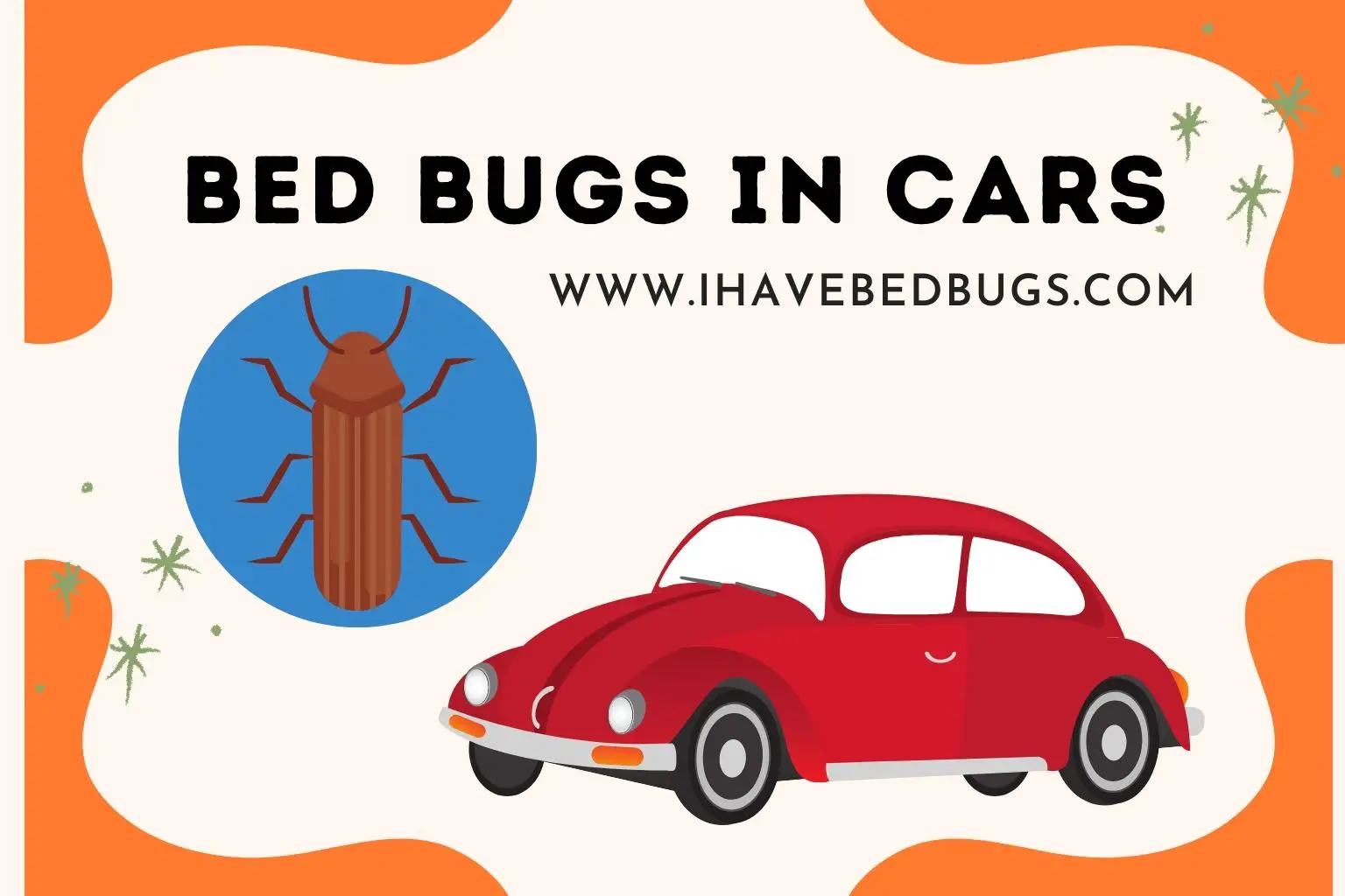 Bed Bugs in Cars