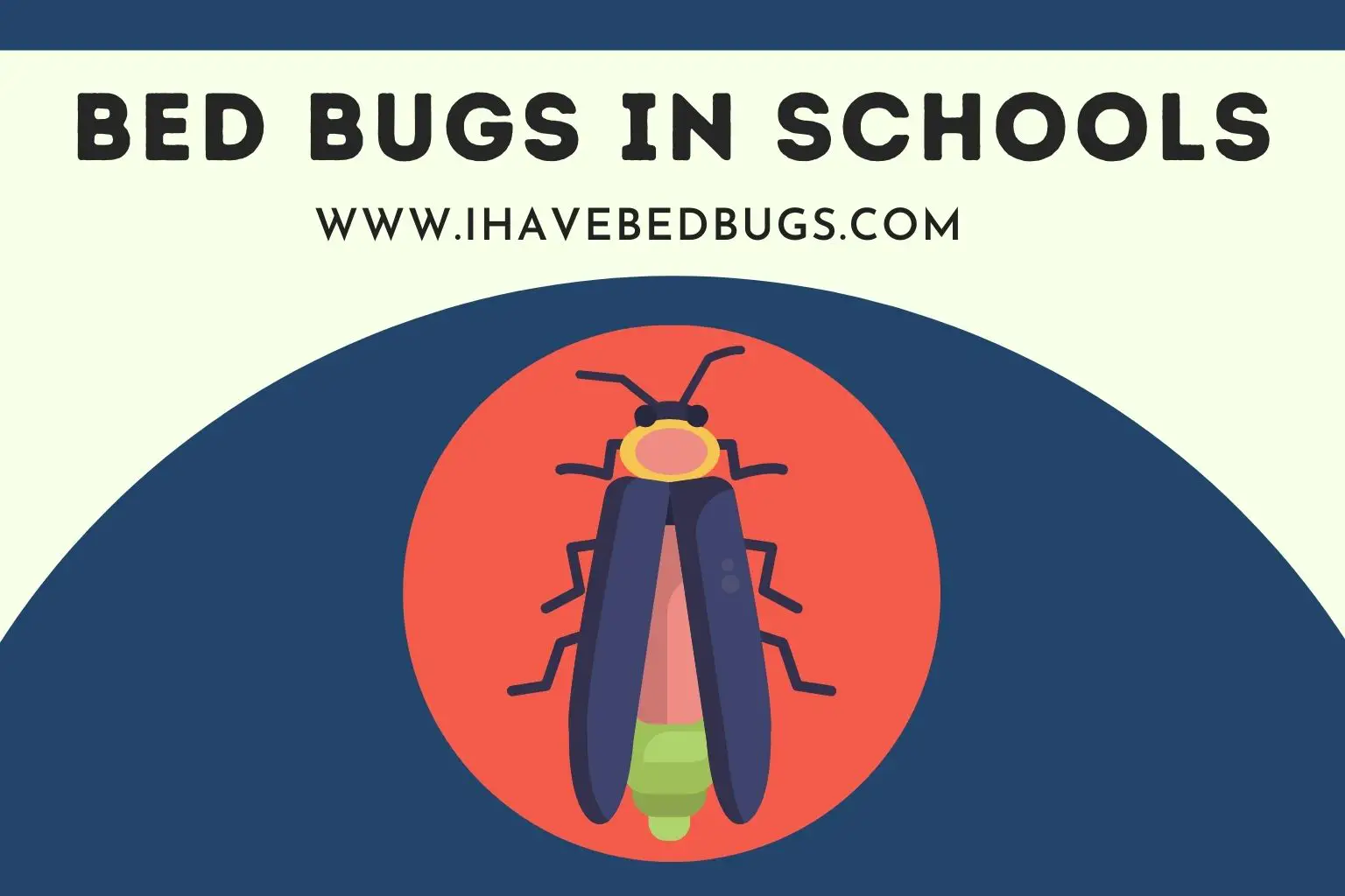 Bed Bugs in Schools