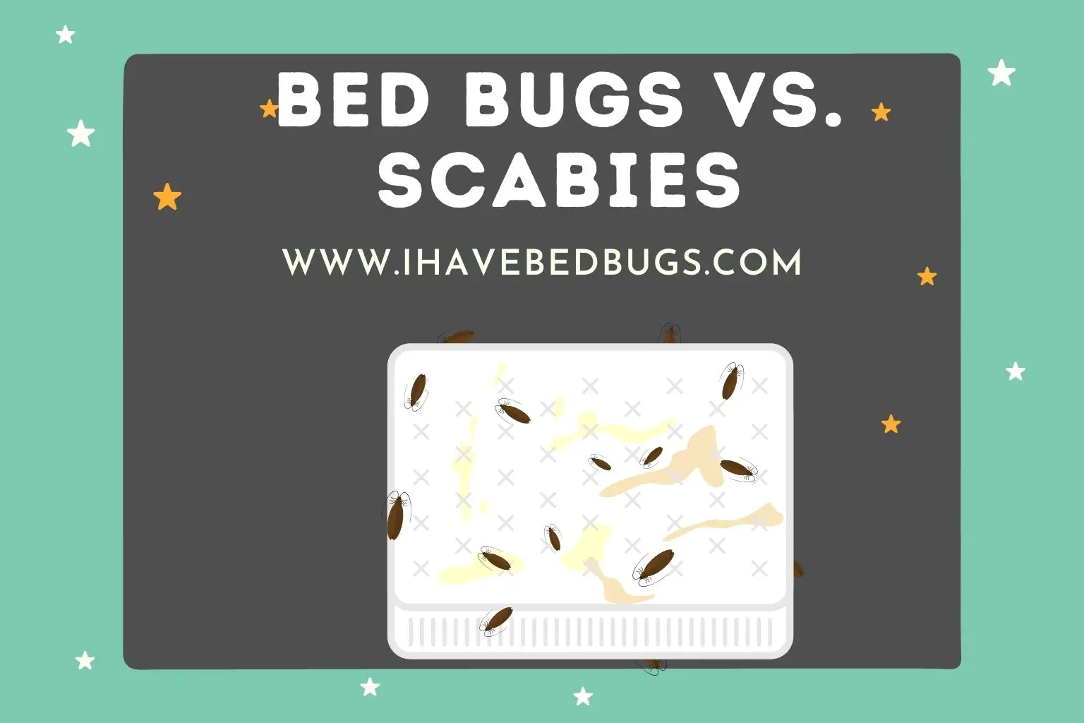 Bed Bugs vs. Scabies