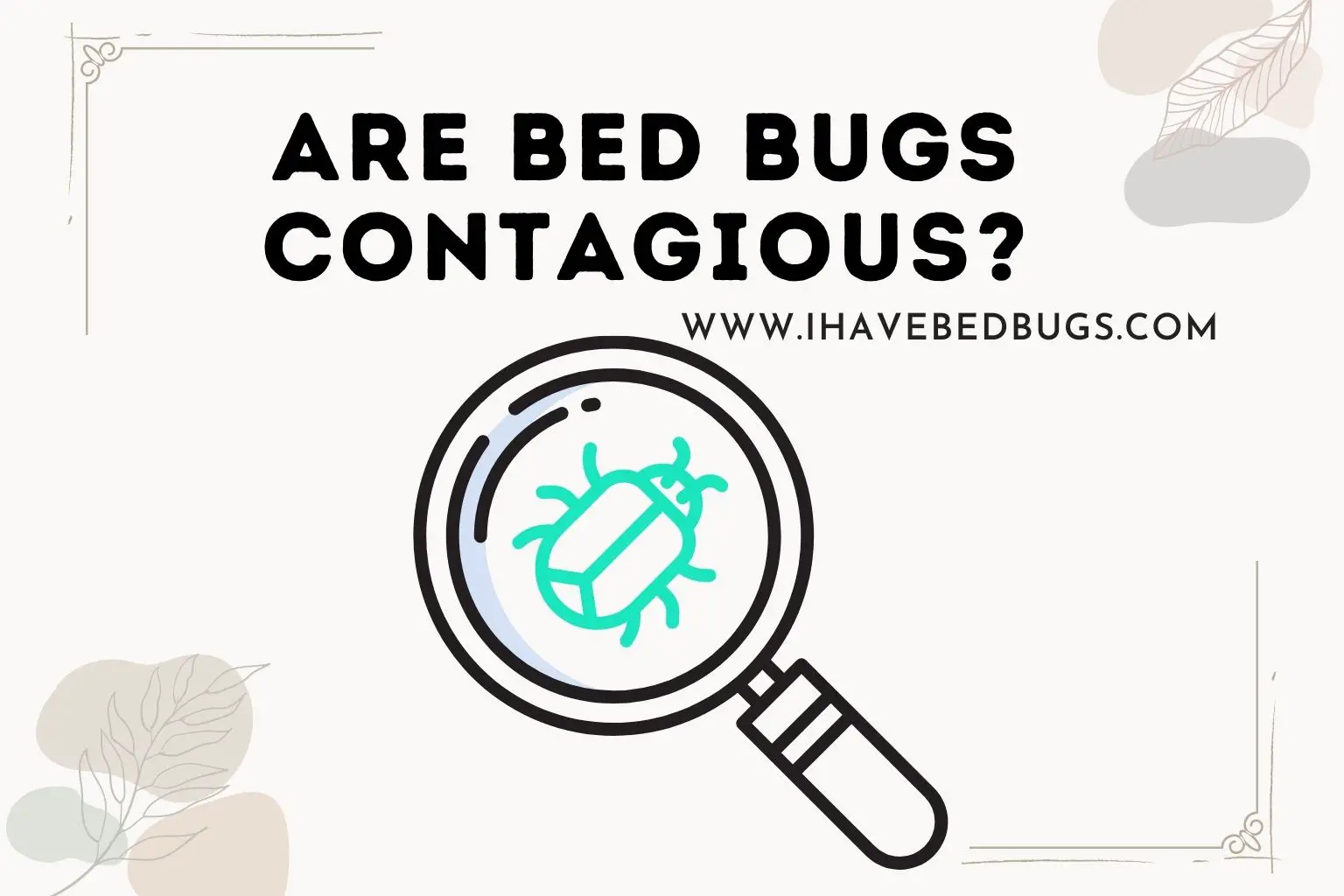 Are Bed Bugs Contagious
