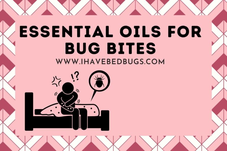 Essential Oils for Bug Bites (Using Tips)
