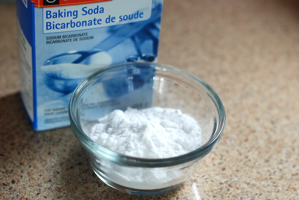 Baking Soda to Kill Fleas Does It Work All You Need to Know