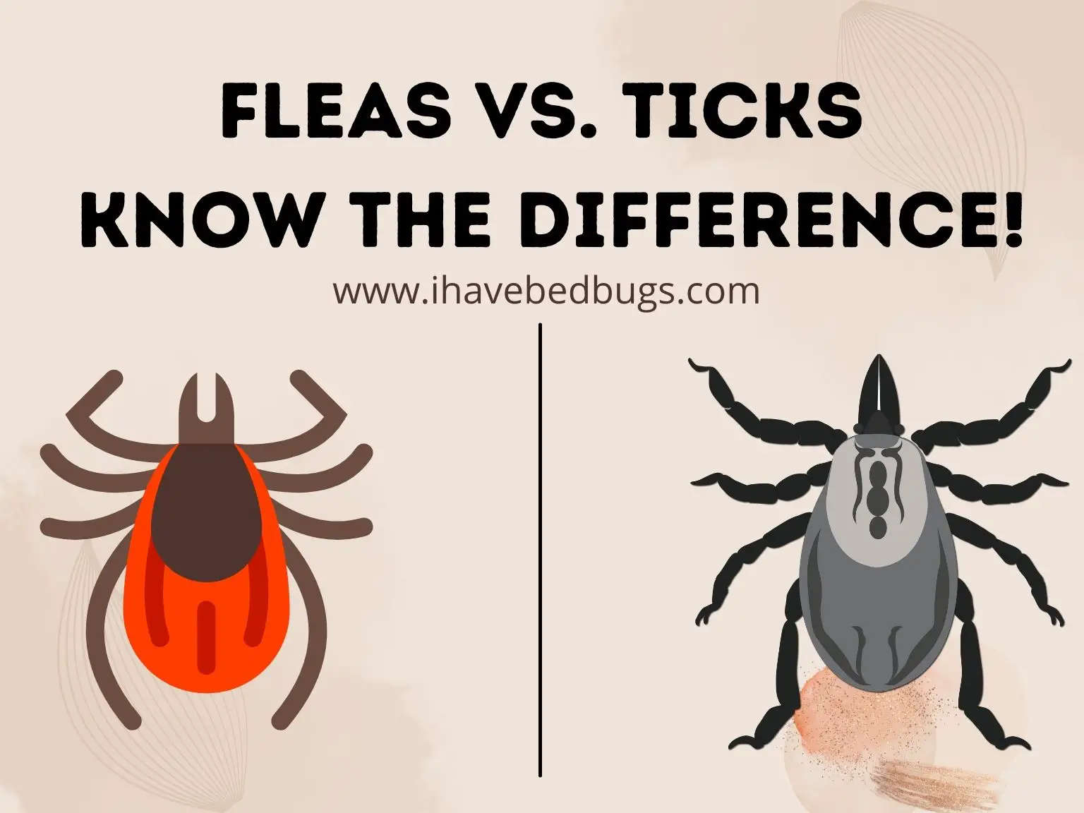 Fleas-vs-Ticks