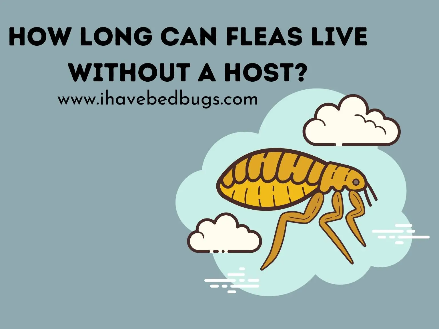 How-Long-Can-Fleas-Live-Without-a-Host