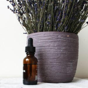 Are Essential Oils Better Than Commercial Flea Treatments?