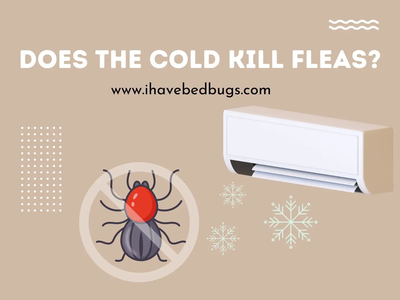 Does the Cold Kill Fleas