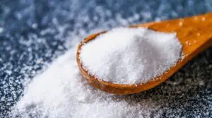 Is Salt Effective Against Fleas?