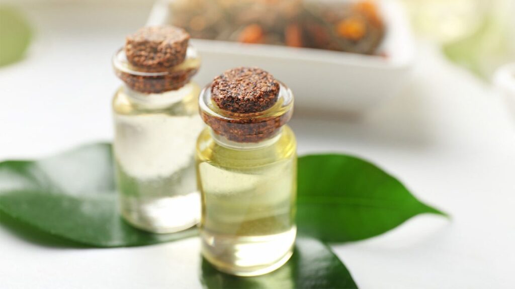 View of Does Tea Tree Oil Kill Fleas - Everything You Need to Know