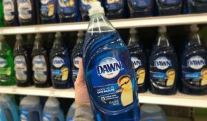 What Is Dawn Dish Soap?