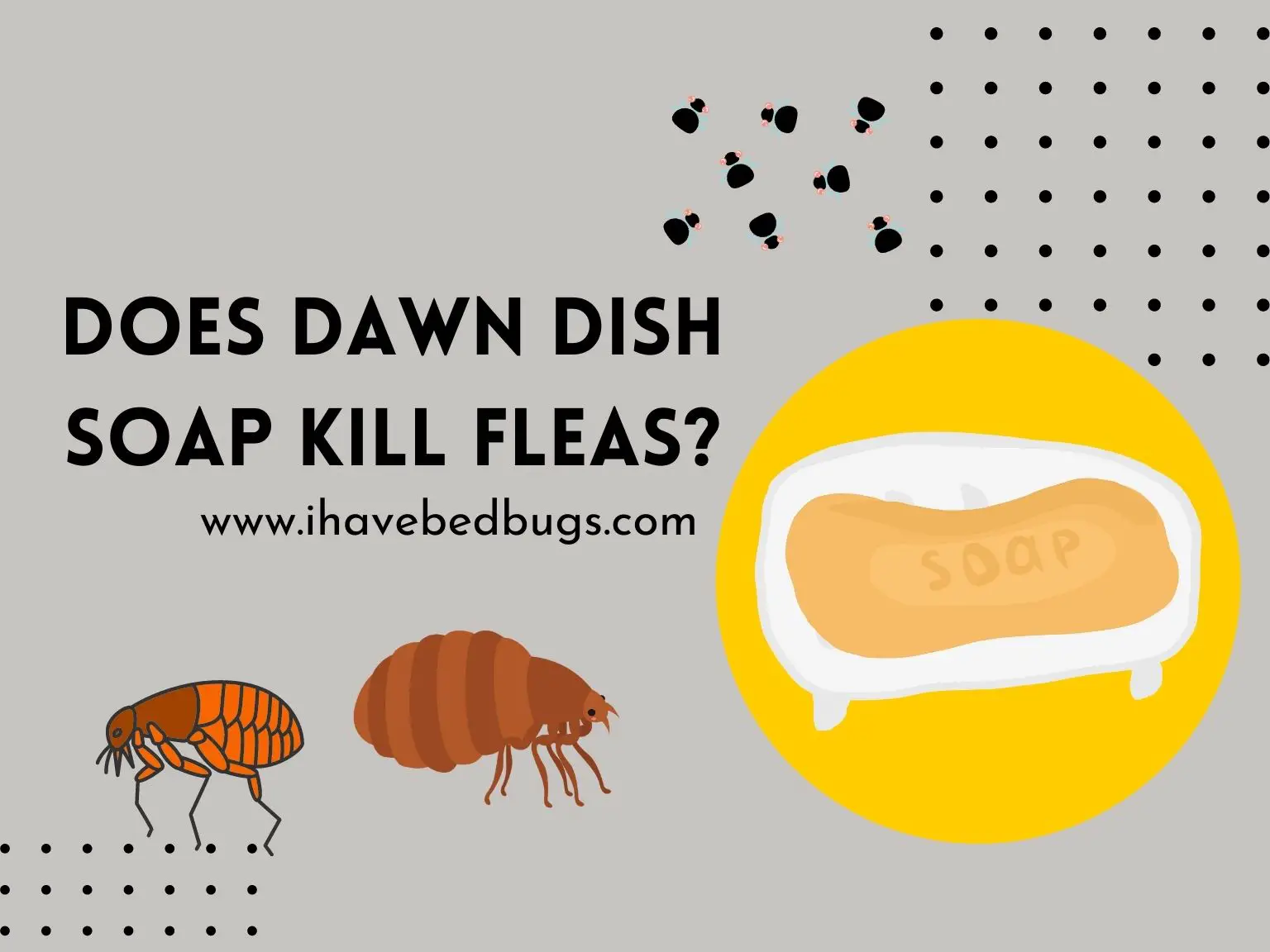 does dawn dish soap kill fleas_