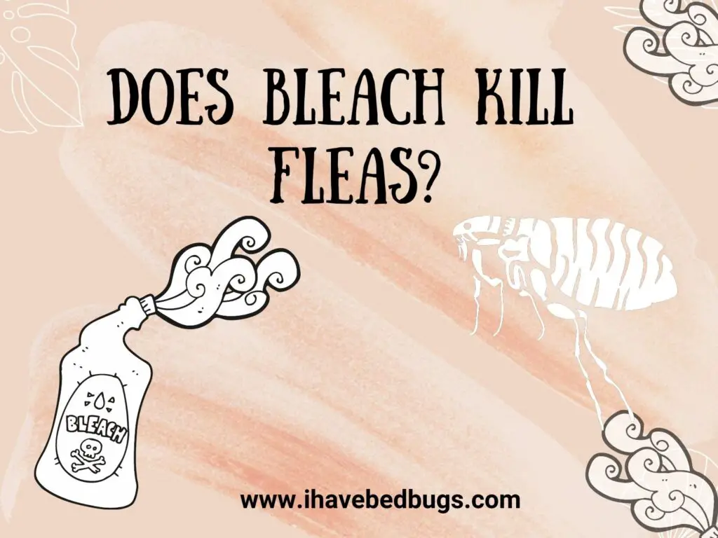 Does Bleach Kill Fleas Ultimate Guide