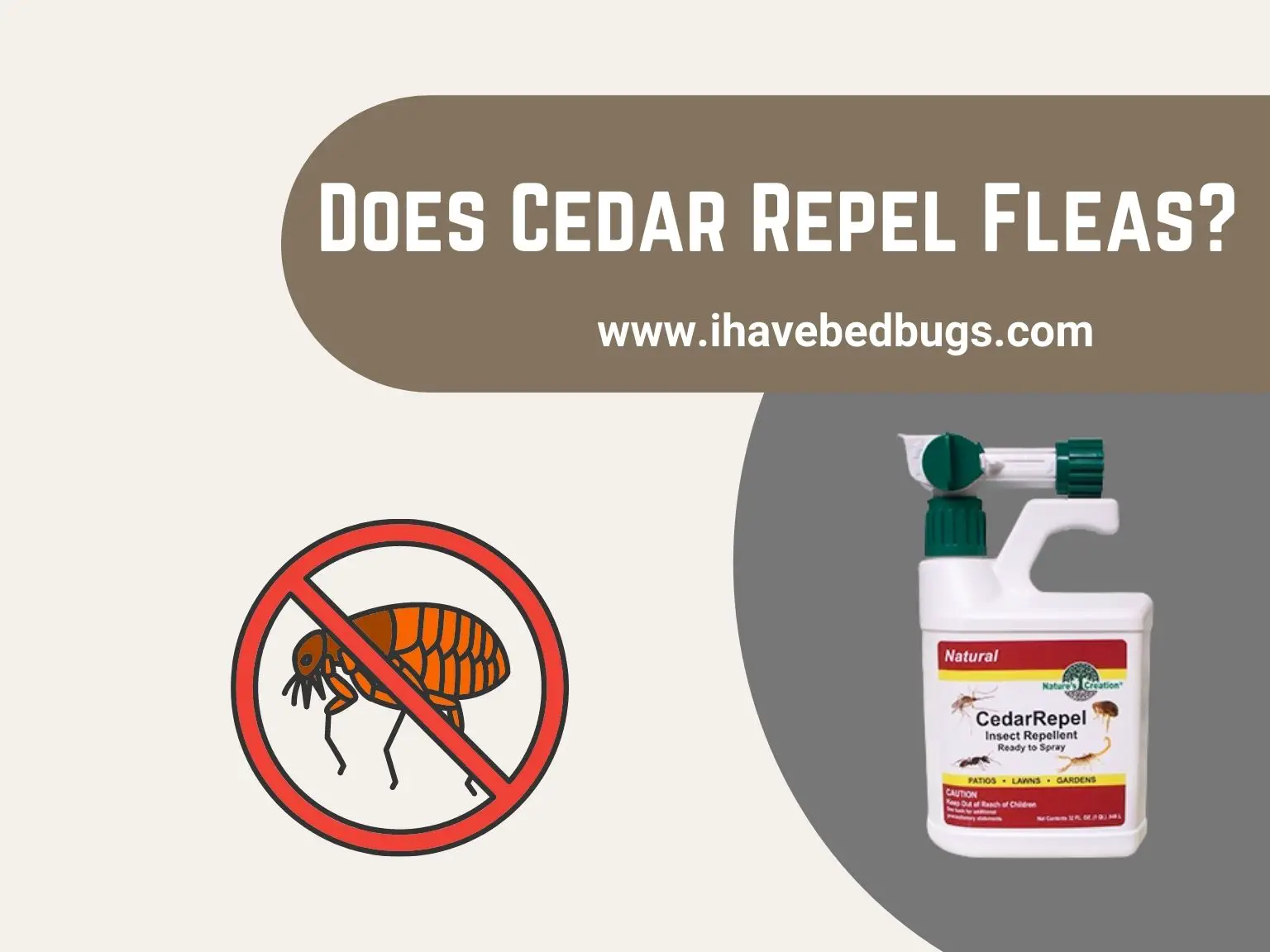 Does Cedar Repel Fleas