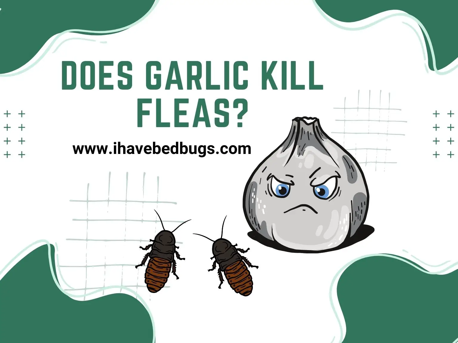 Does Garlic Kill Fleas