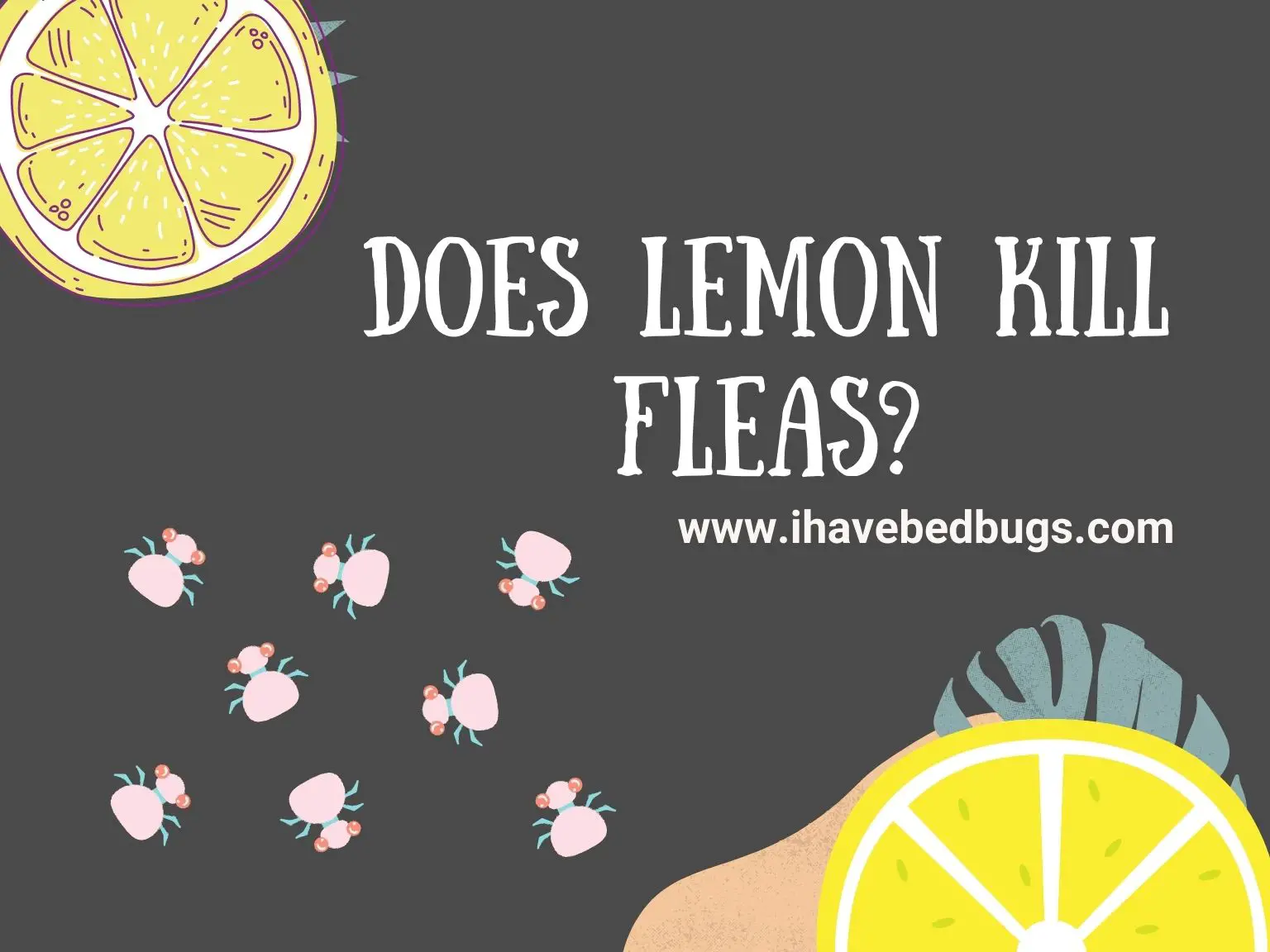 Does Lemon Kill Fleas
