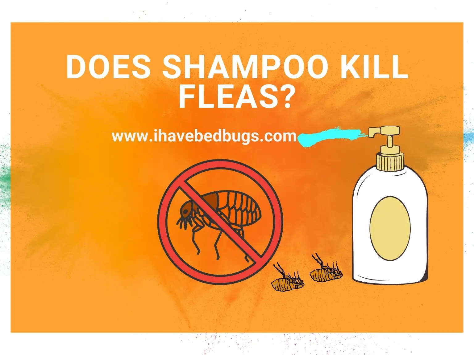 Does Shampoo Kill Fleas