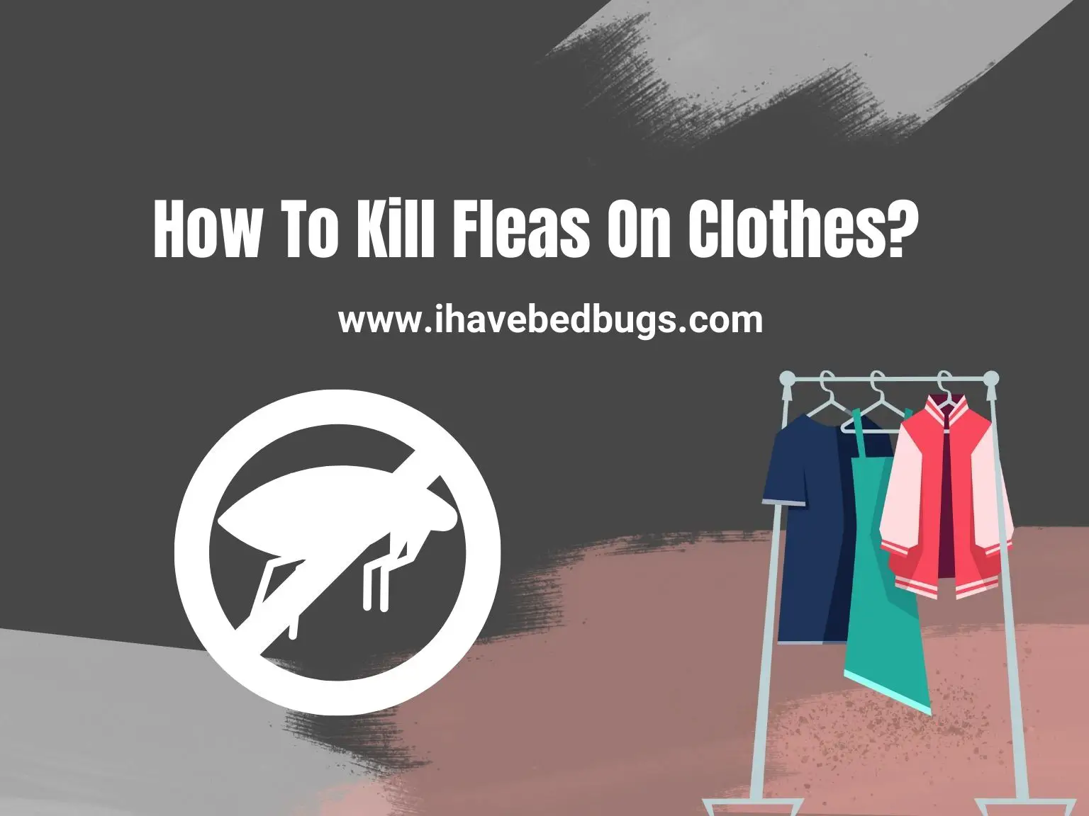 How To Kill Fleas On Clothes_