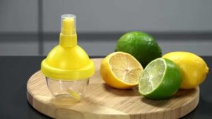 is lemon juice good for fleas on dogs