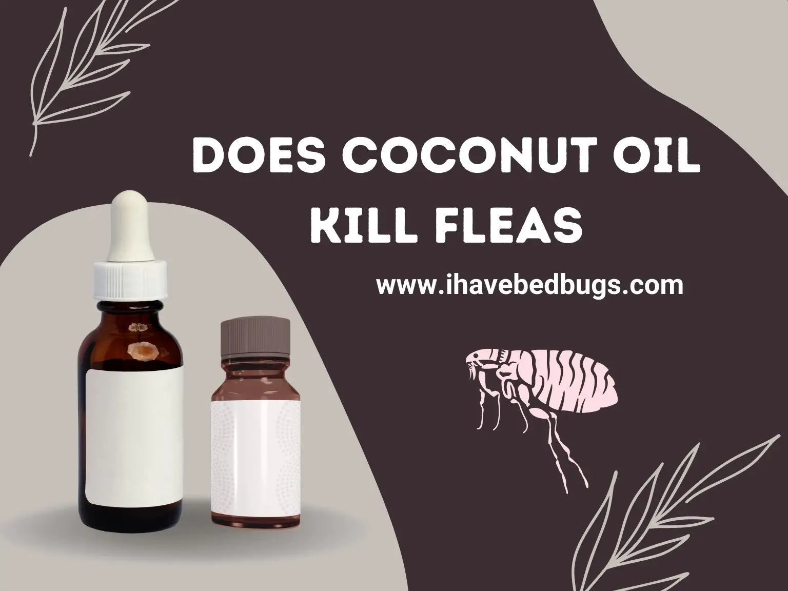 does coconut oil kill fleas