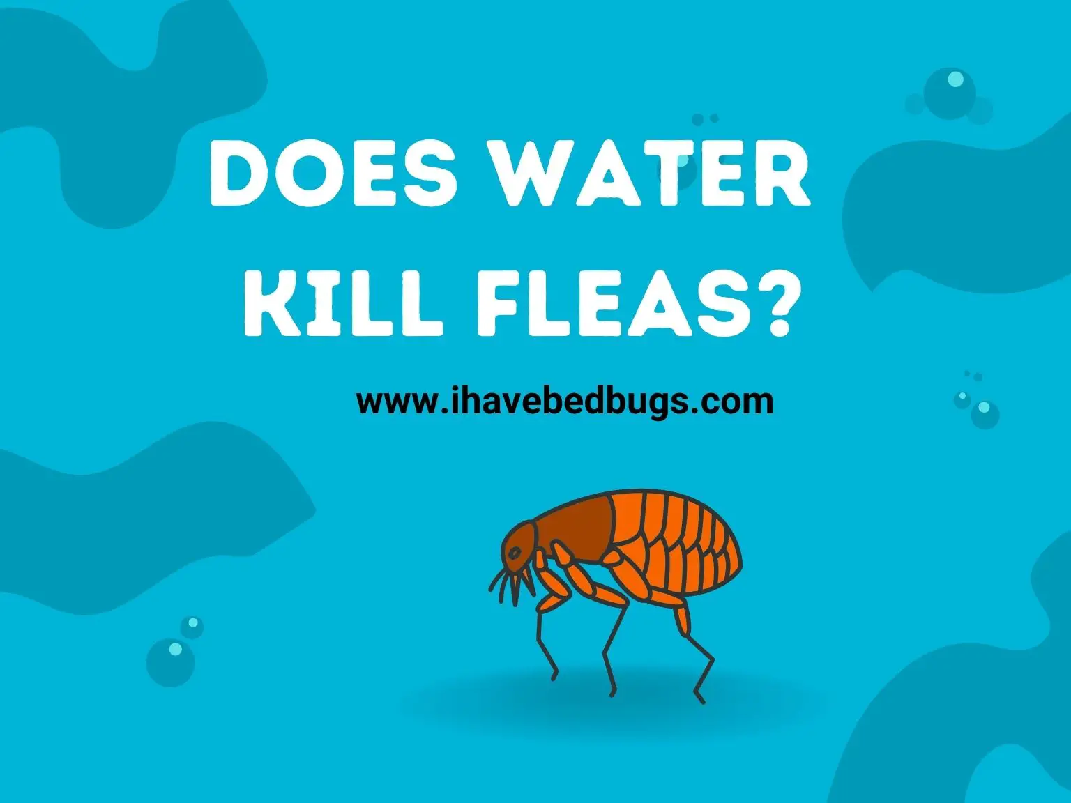 does water kill fleas