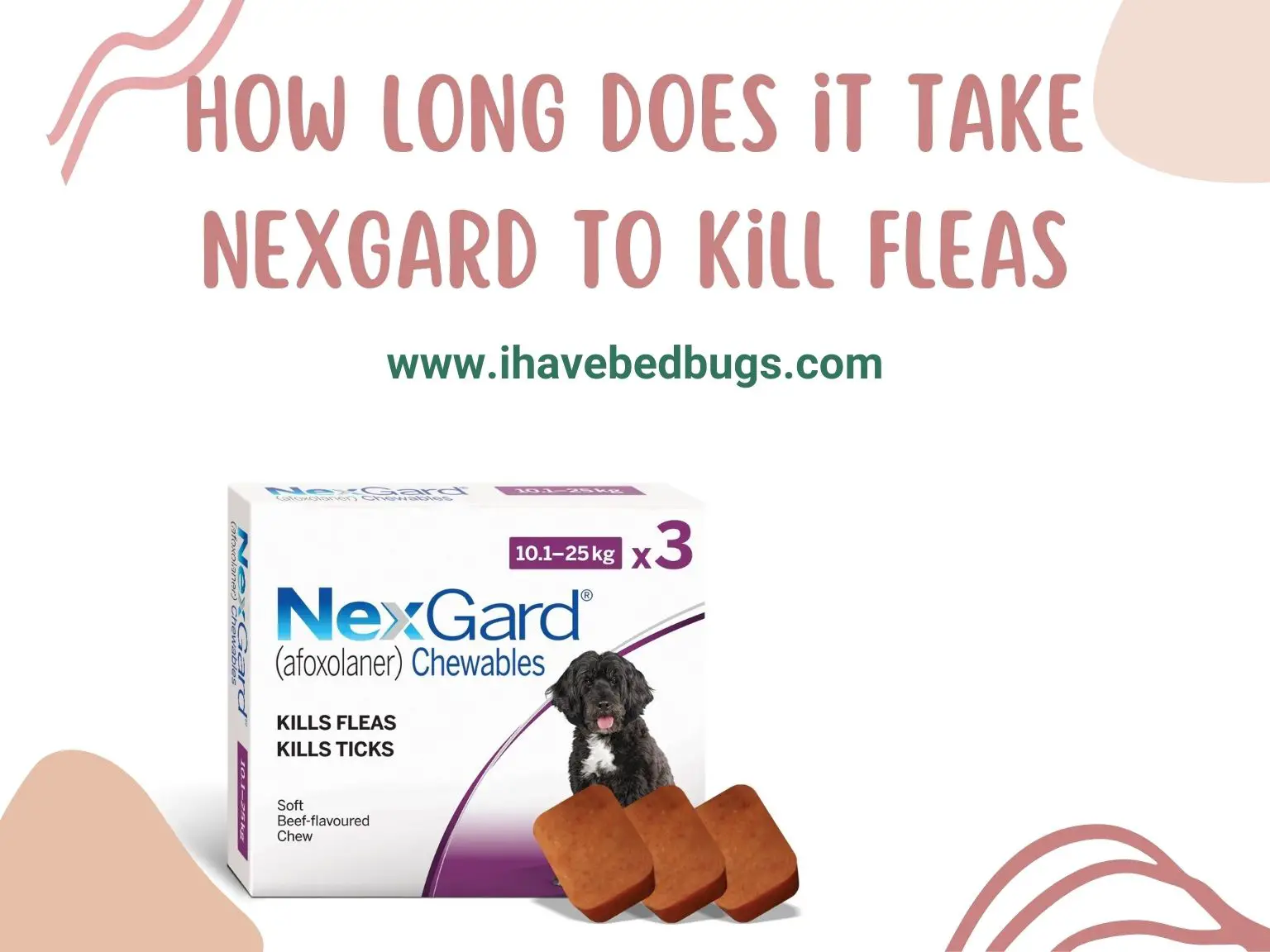 how long does it take nexgard to kill fleas