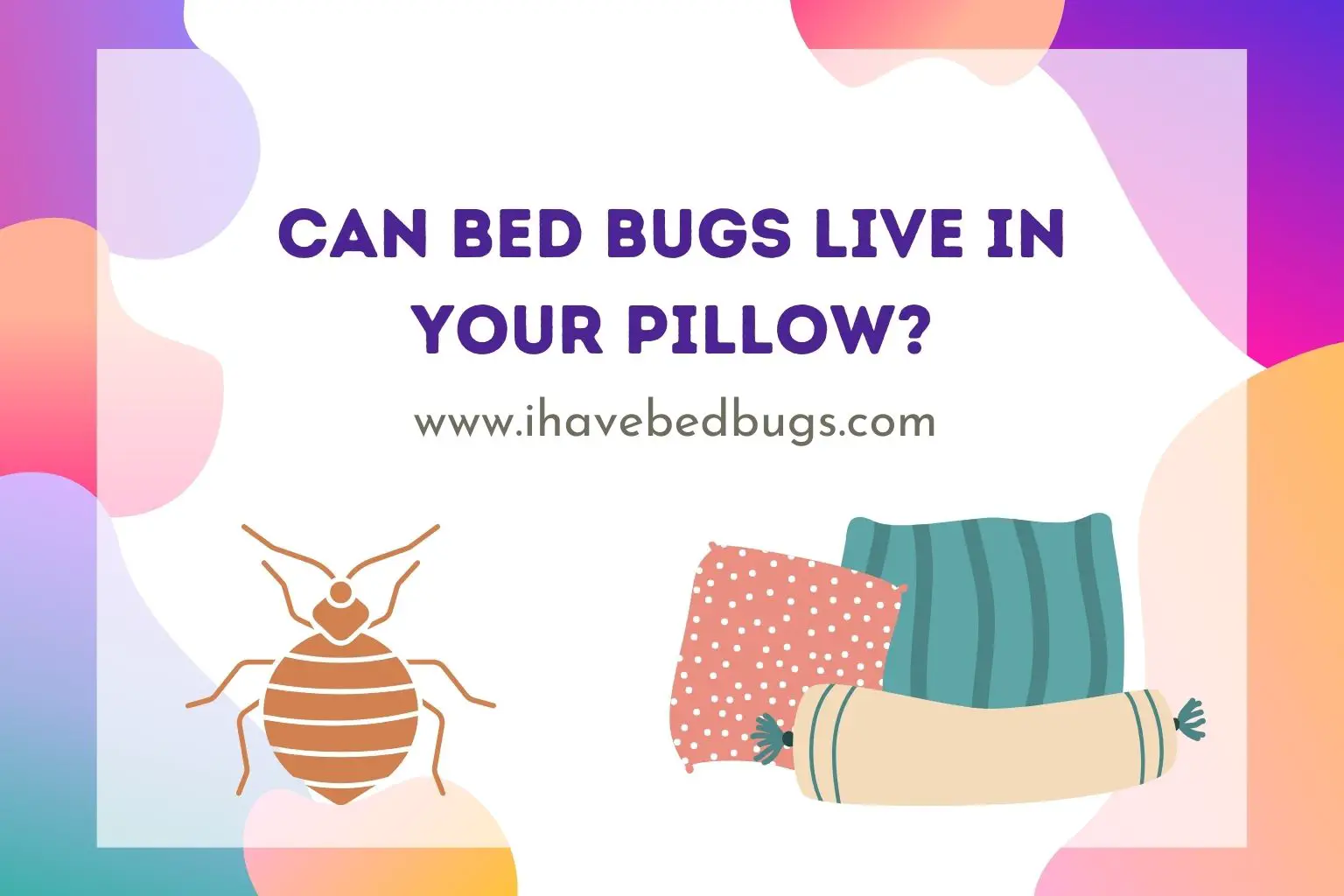 Can bed bugs live in your pillow
