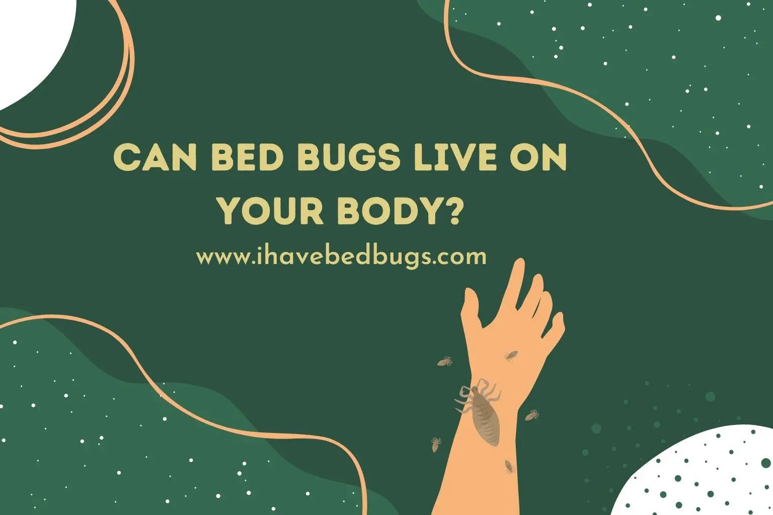 Can bed bugs live on your body