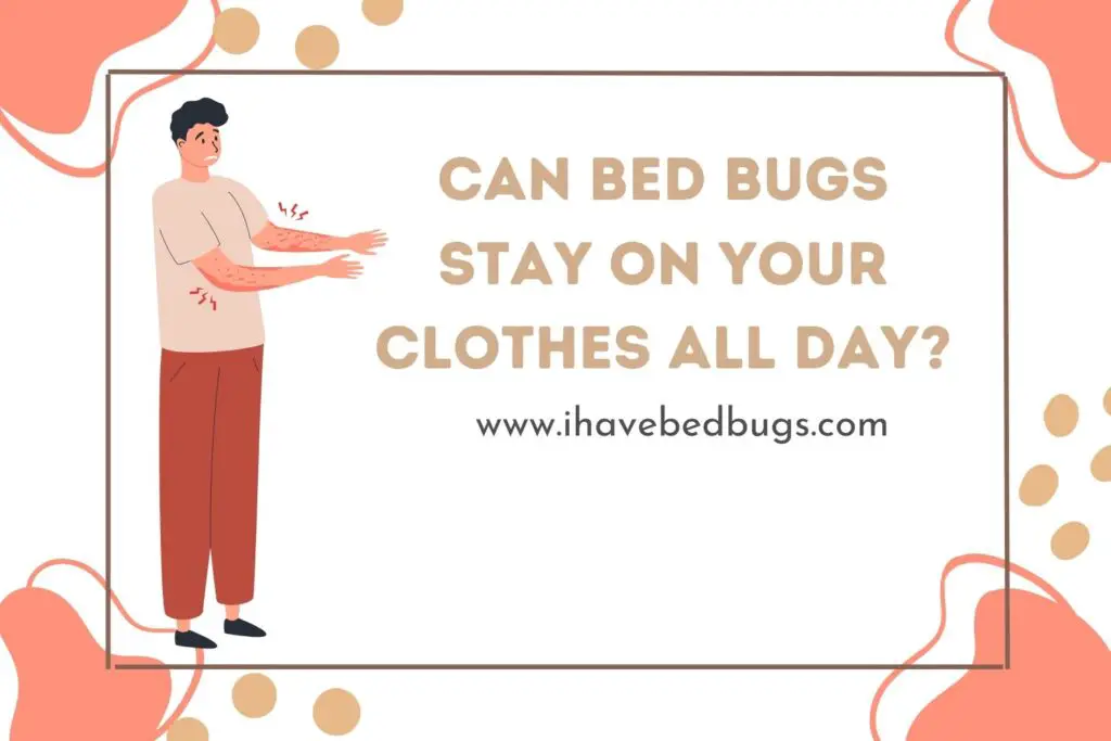 how-to-get-rid-of-bed-bugs-on-clothes-detailed-guide-youtube