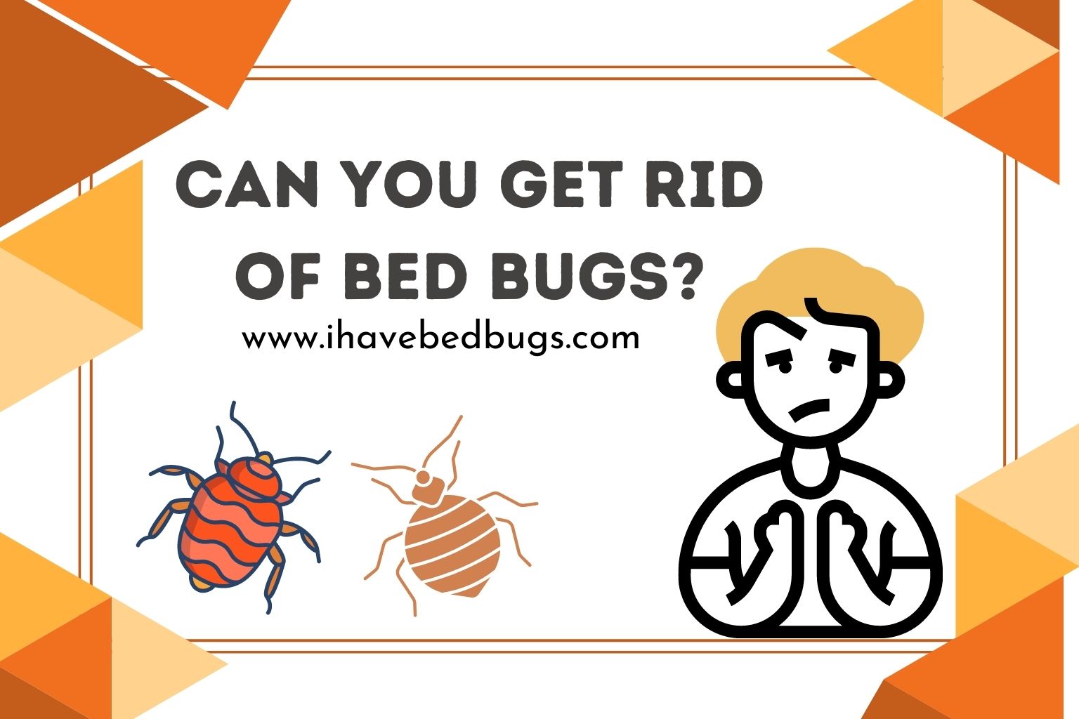 Can you get rid of bed bugs