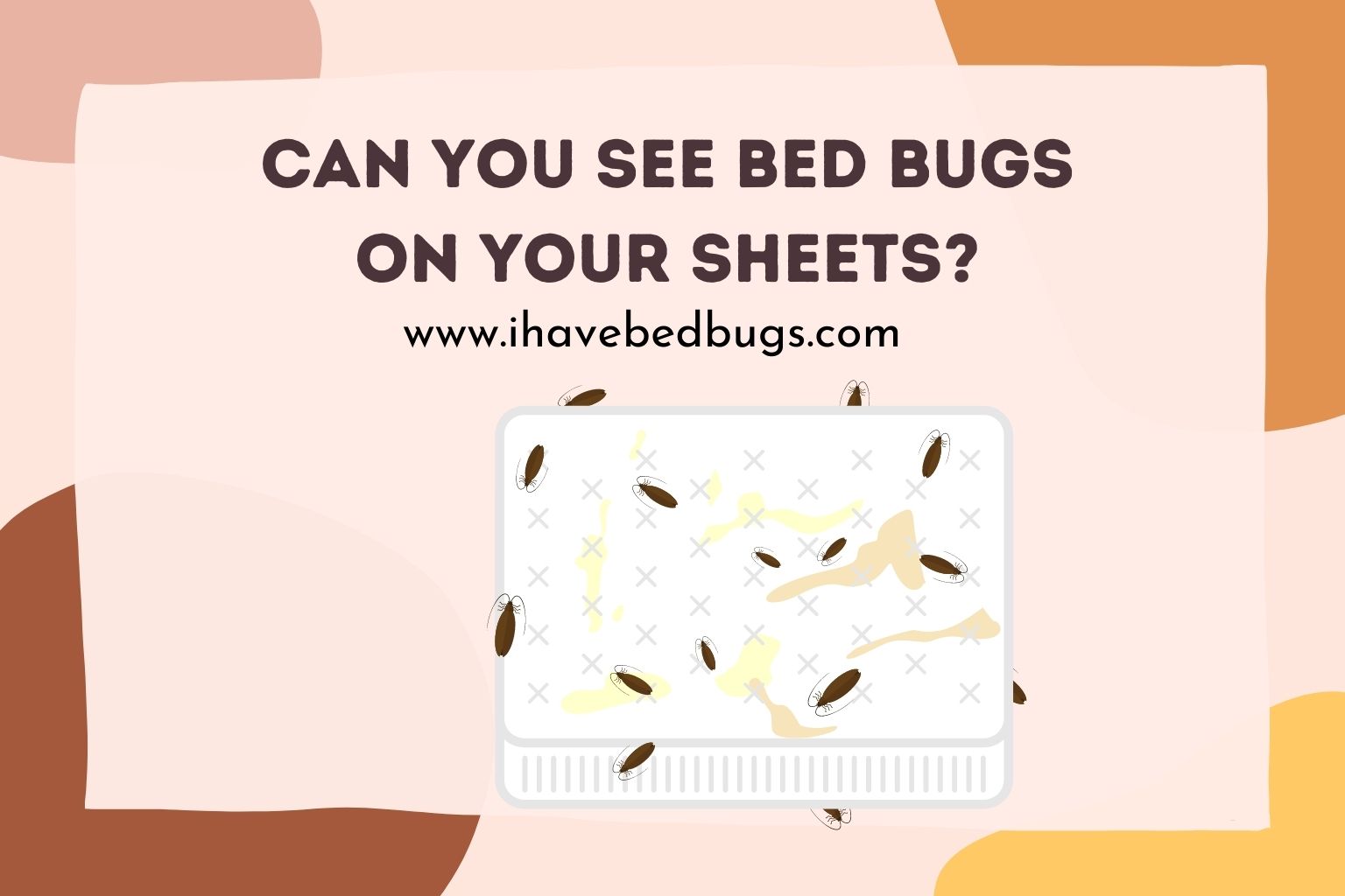 Can you see bed bugs on your sheets