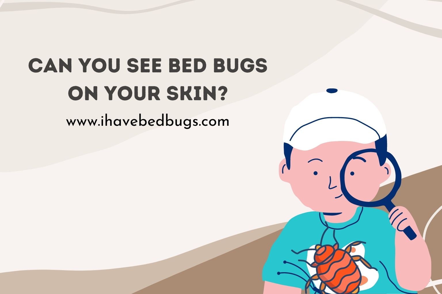 Can you see bed bugs on your skin