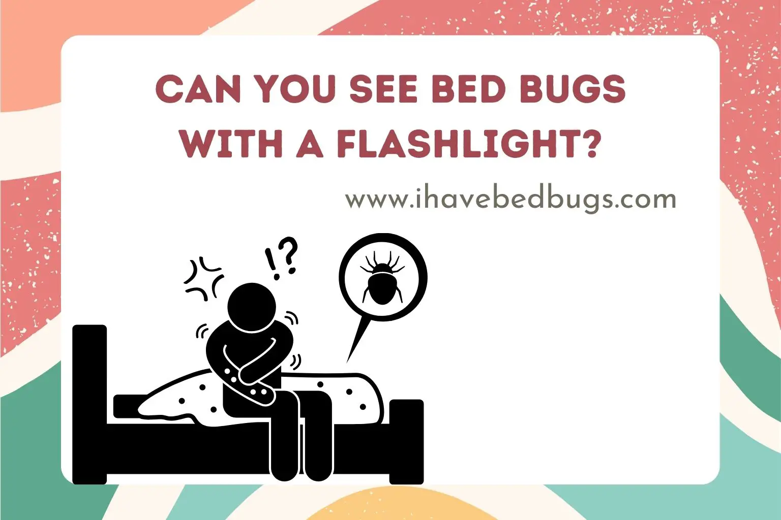 Can you see bed bugs with a flashlight