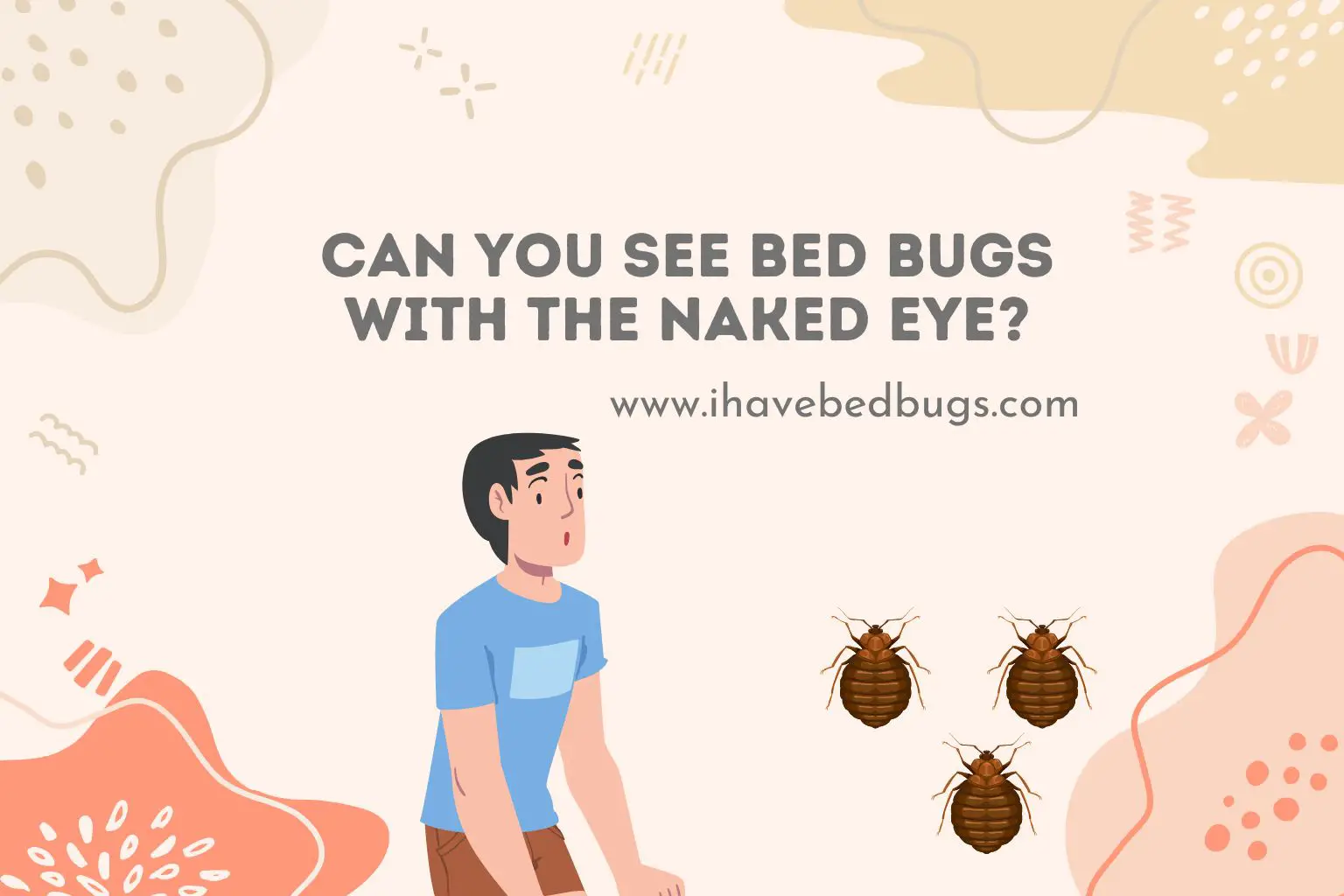 Can you see bed bugs with the naked eye