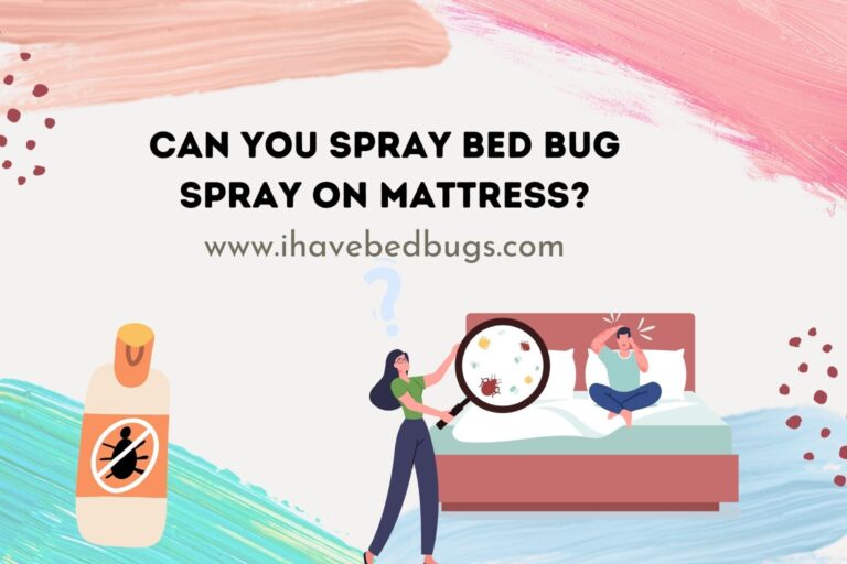 Can You Spray Bed Bugs on a Mattress?