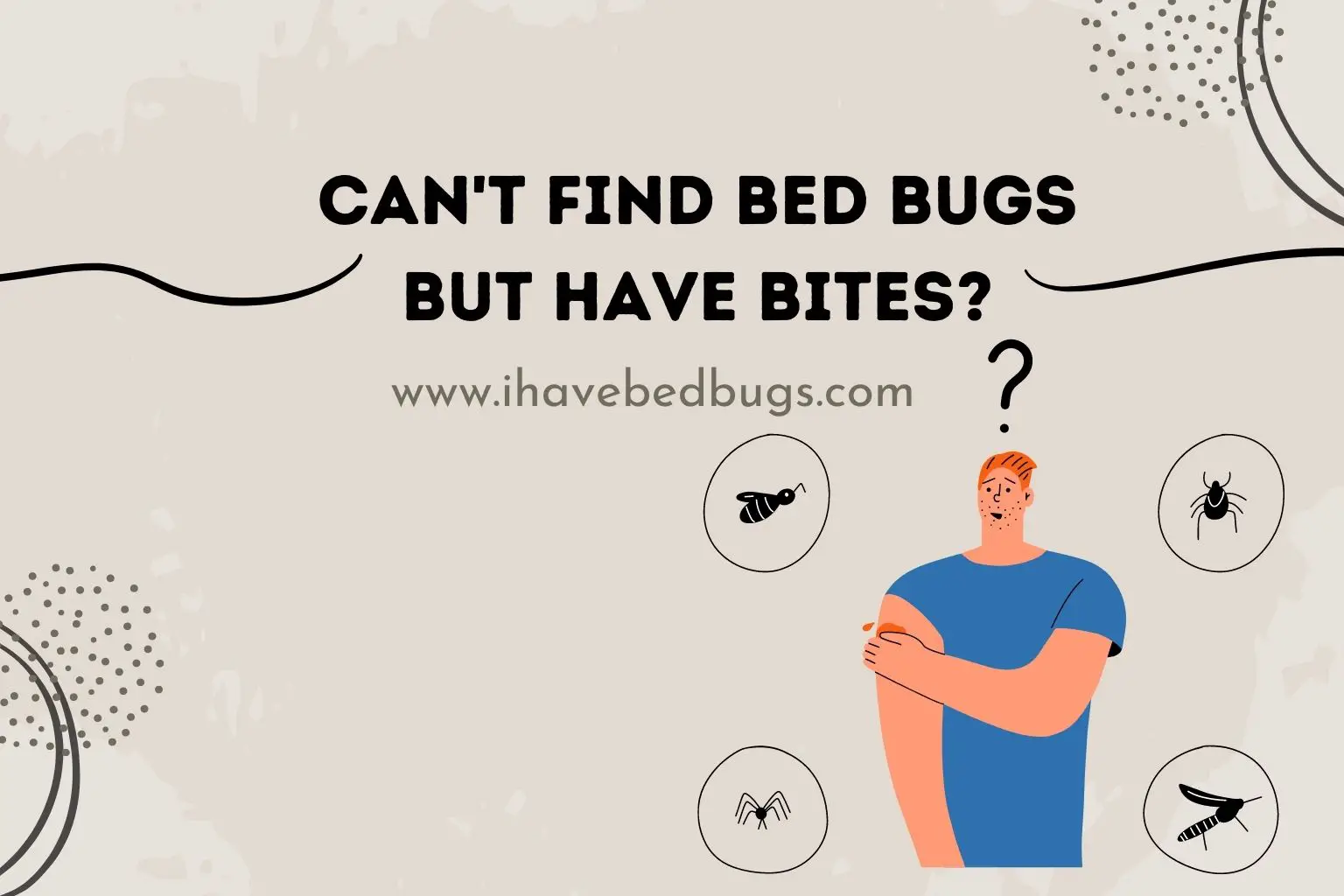 Can't find bed bugs but have bites