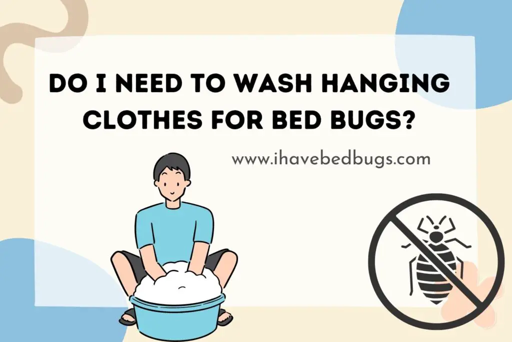 Do I Need to Wash Hanging Clothes For Bed Bugs?