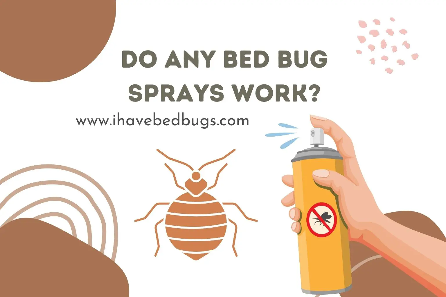 Do any bed bug sprays work