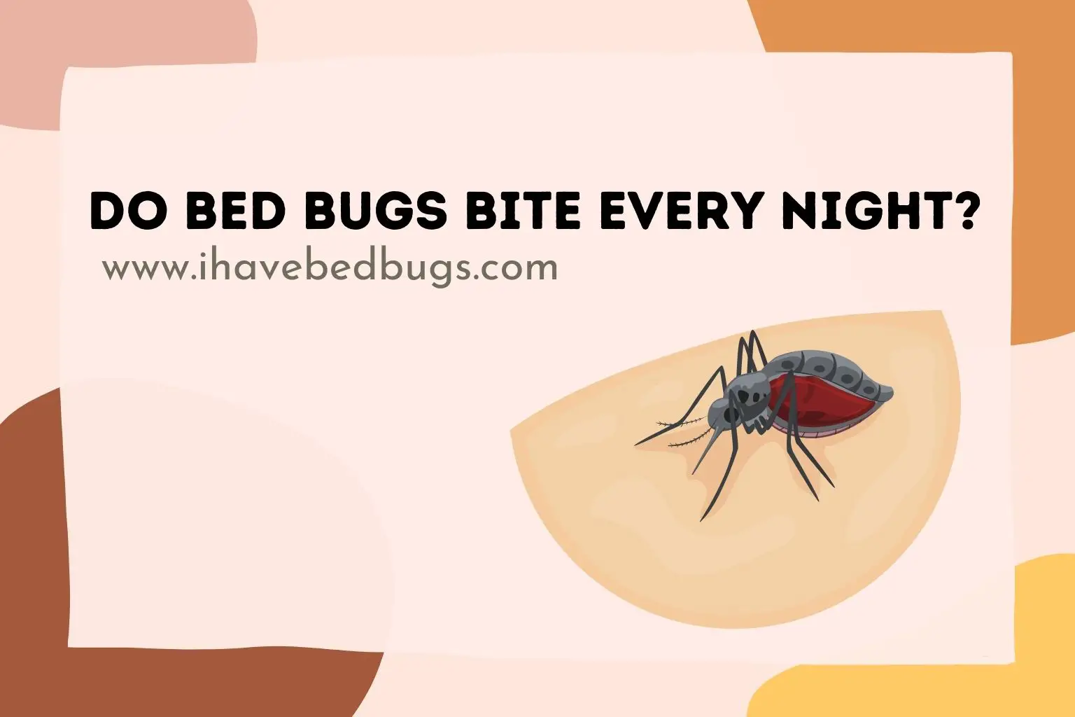 Do bed bugs bite every night