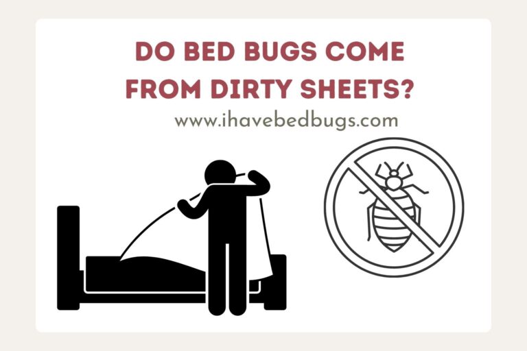 Do Bed Bugs Come From Dirty Sheets?