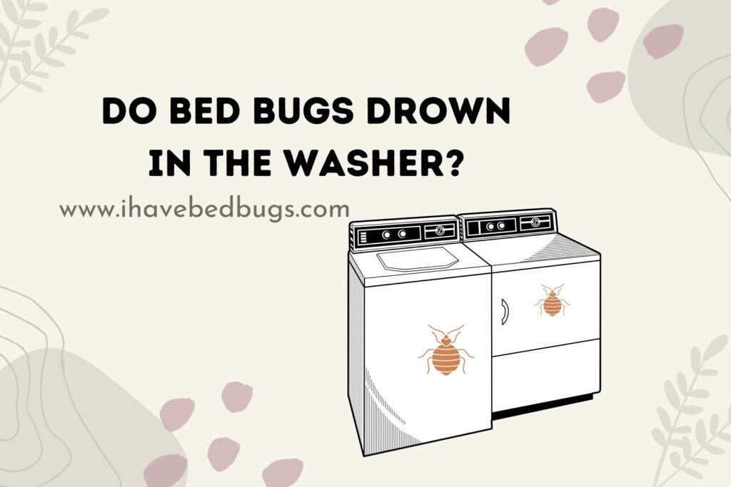 Do Bed Bugs Drown In The Washer?