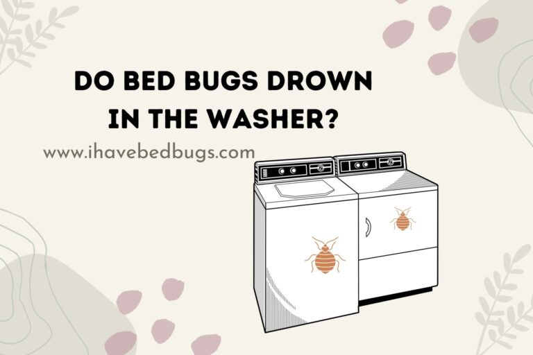 Do Bed Bugs Drown In The Washer?