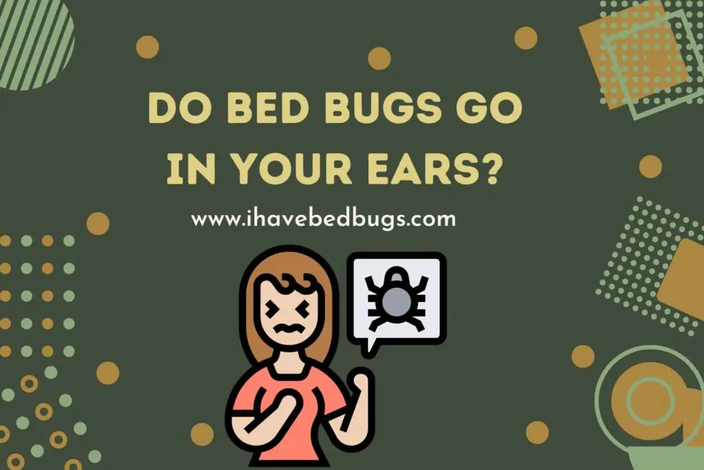 Do Bed Bugs Go in Your Ears? How Do You Get Rid of Them?