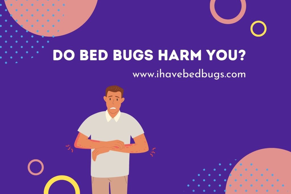 Do Bed Bugs Harm You Ihavebedbugs do-bed-bugs-harm-you-ihavebedbugs